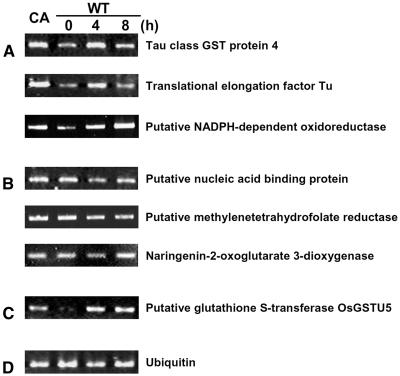 Figure 6.