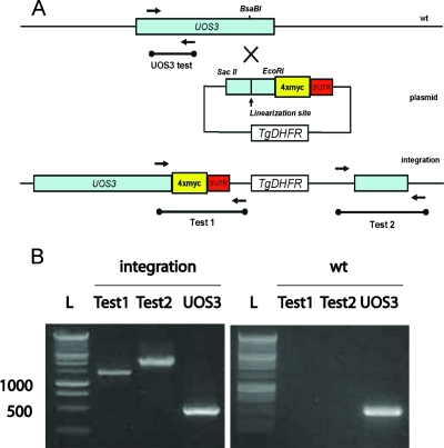 FIG. 7.