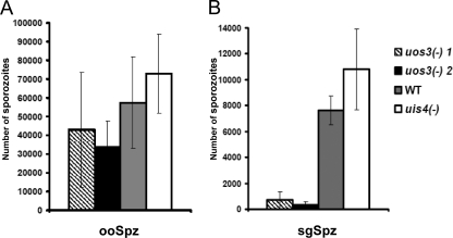 FIG. 6.