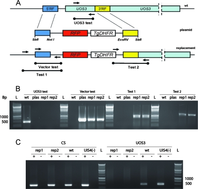 FIG. 3.