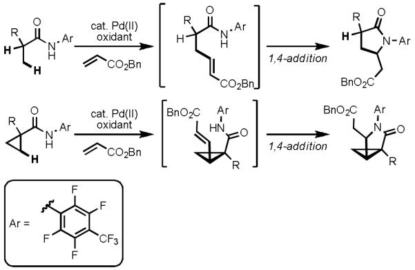 Scheme 18