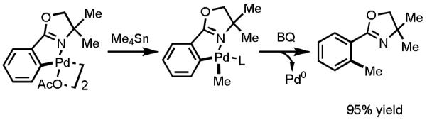 Scheme 5