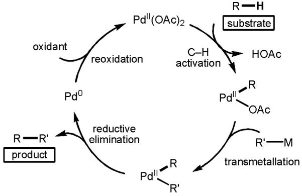 Scheme 2