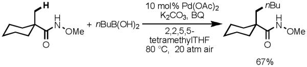 Scheme 13