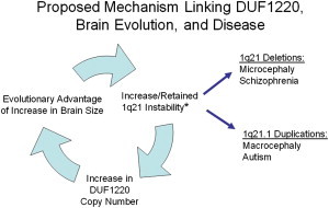 Figure 5