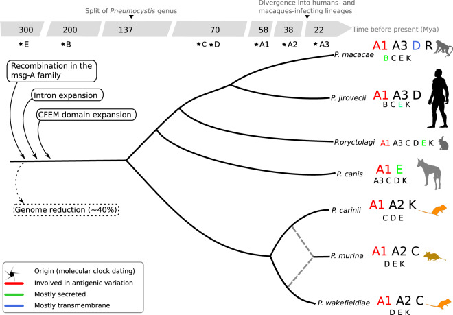 Fig. 6