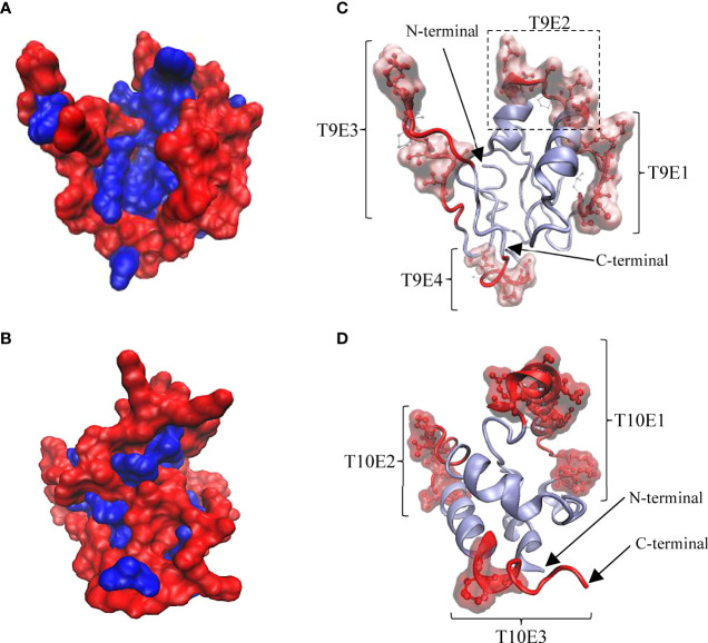 Figure 5