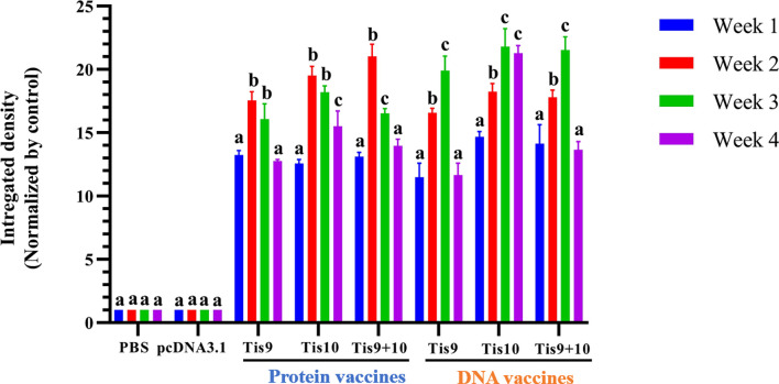 Figure 4