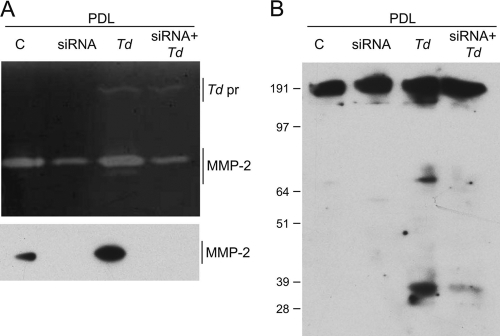 FIG. 5.