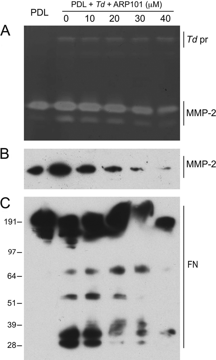 FIG. 4.