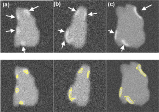 Fig. 5.