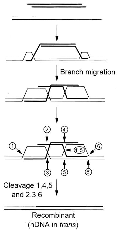 FIG. 5