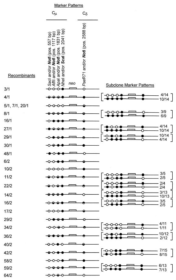 FIG. 4