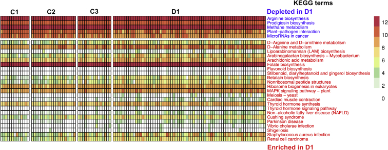 Figure 10