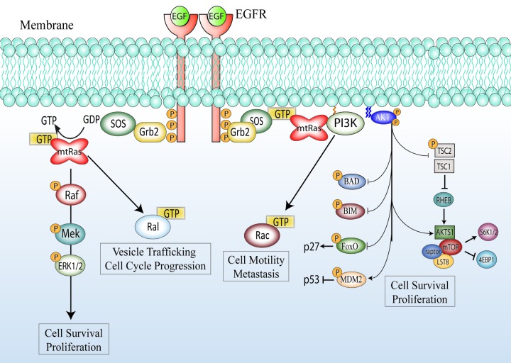 Figure 1. 