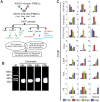 FIG 3