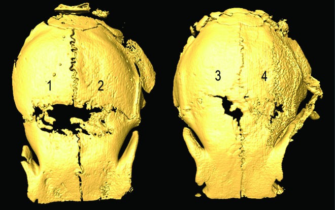 FIG. 2.