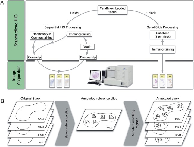 Figure 1: