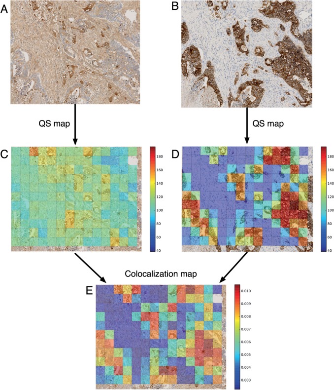 Figure 6: