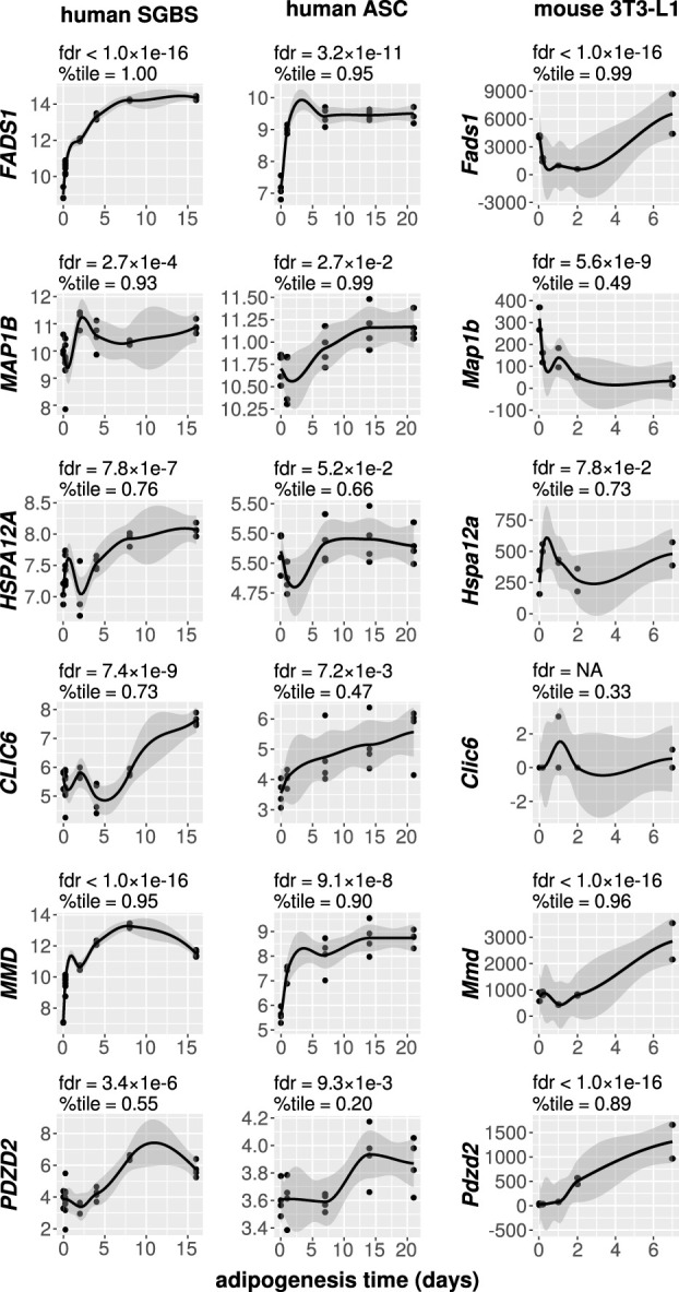 Figure 7.