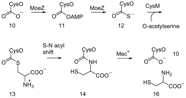 Scheme 2