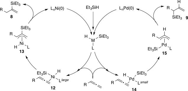 Scheme 4