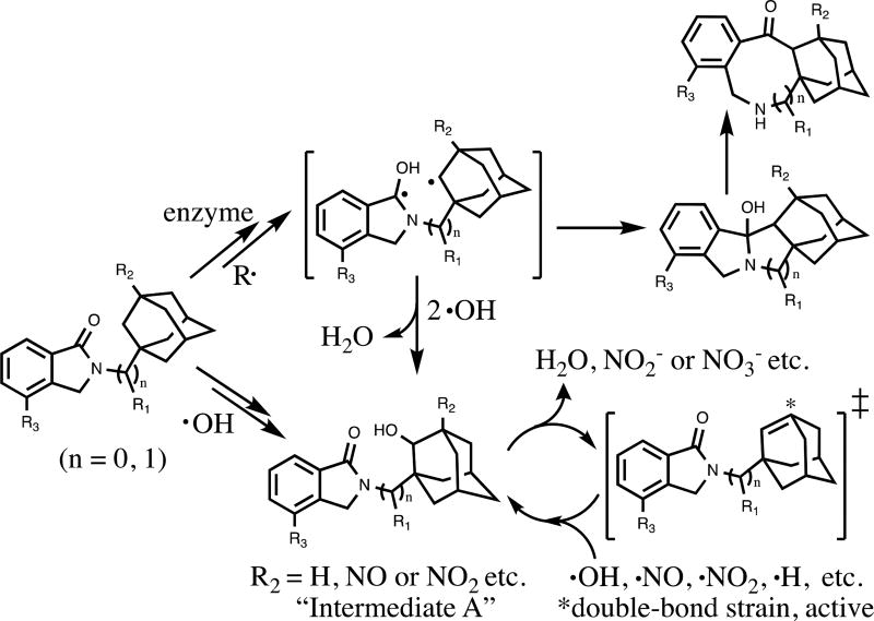 Scheme 4