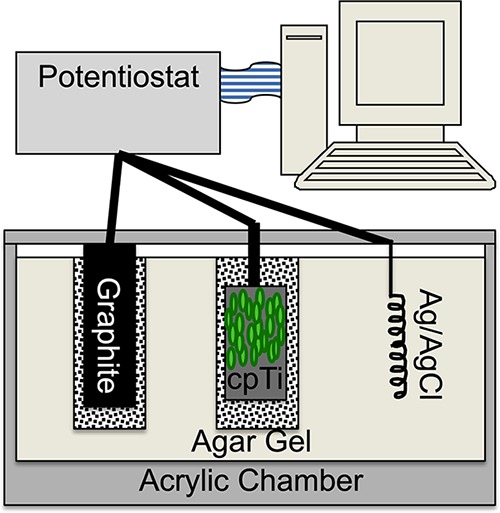 FIG 6