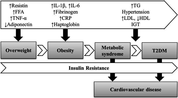 Fig. 1