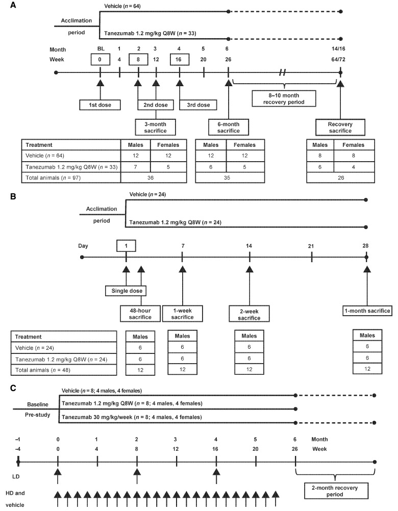 Figure. 1