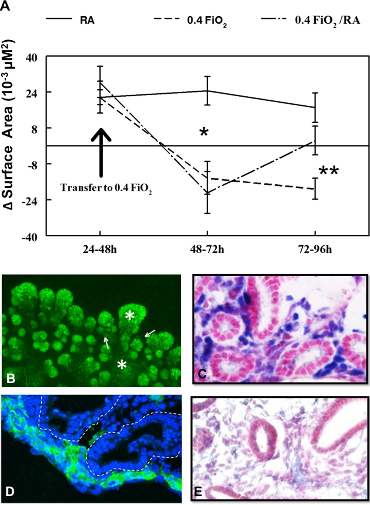 Fig. 9