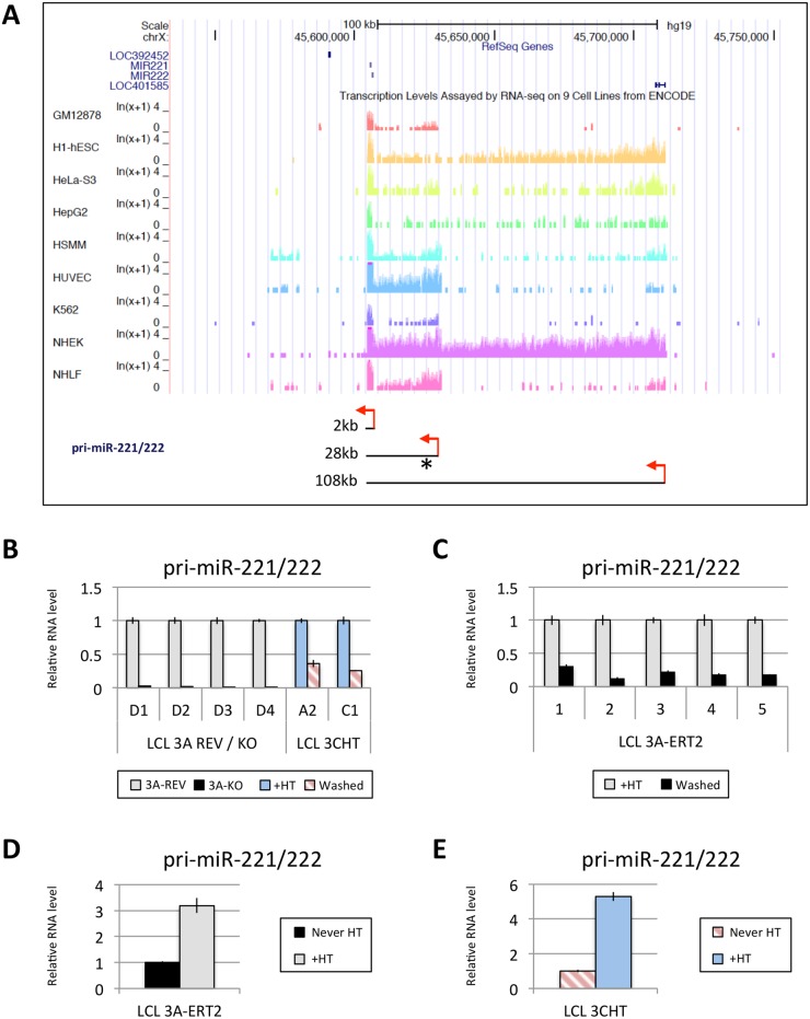 Fig 6