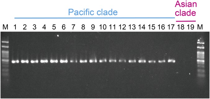 Fig. S3.