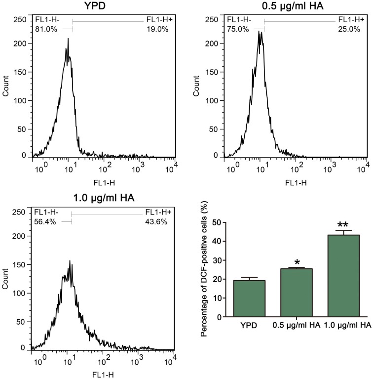 FIGURE 2