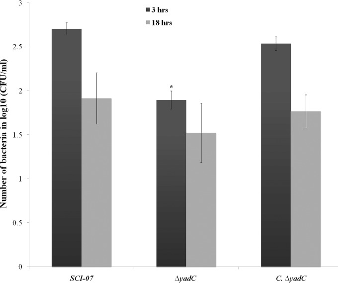 FIG 6