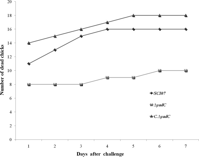 FIG 2