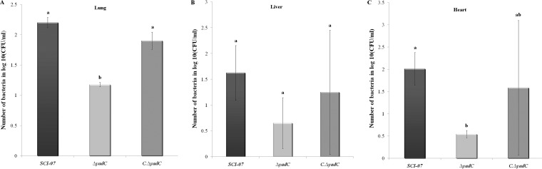 FIG 3