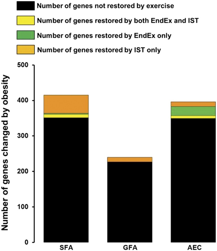 Fig. 10.