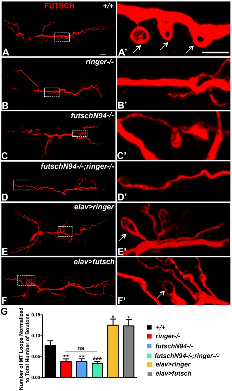 FIGURE 6