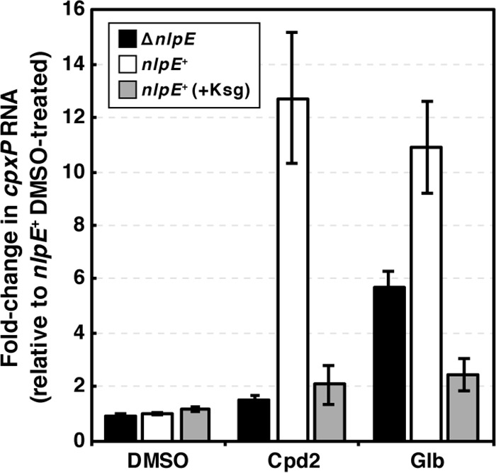 FIG 3