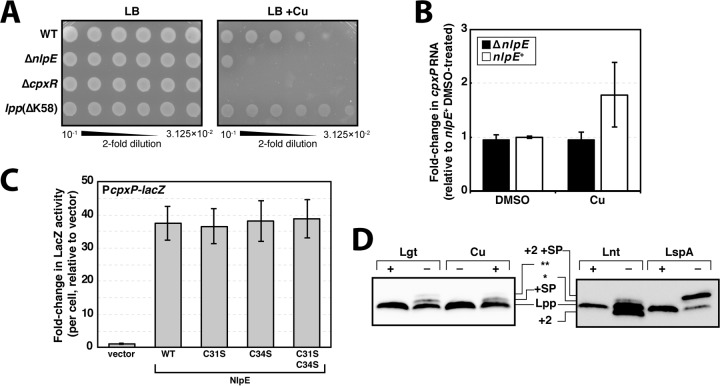 FIG 4