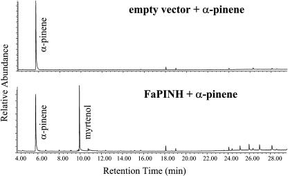 Figure 13.