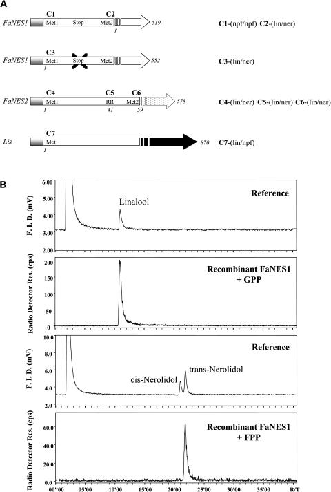 Figure 7.