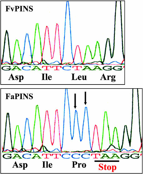 Figure 11.