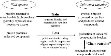 Figure 14.