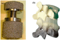 Figure 43
