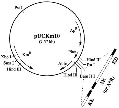 FIG. 1