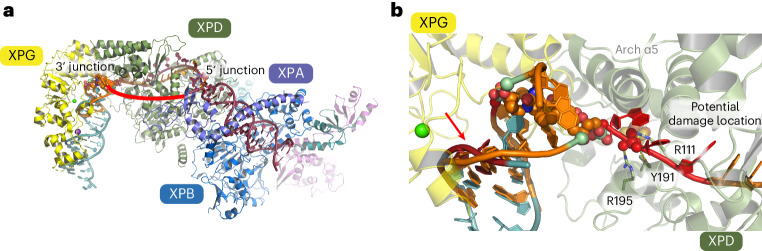 Fig. 7