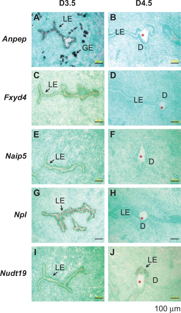 Figure 4.