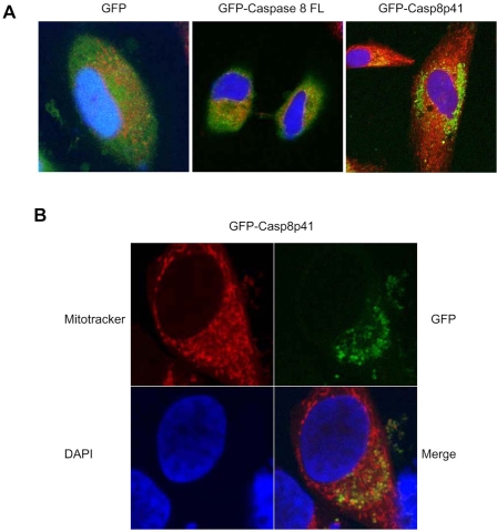 Fig. (4)